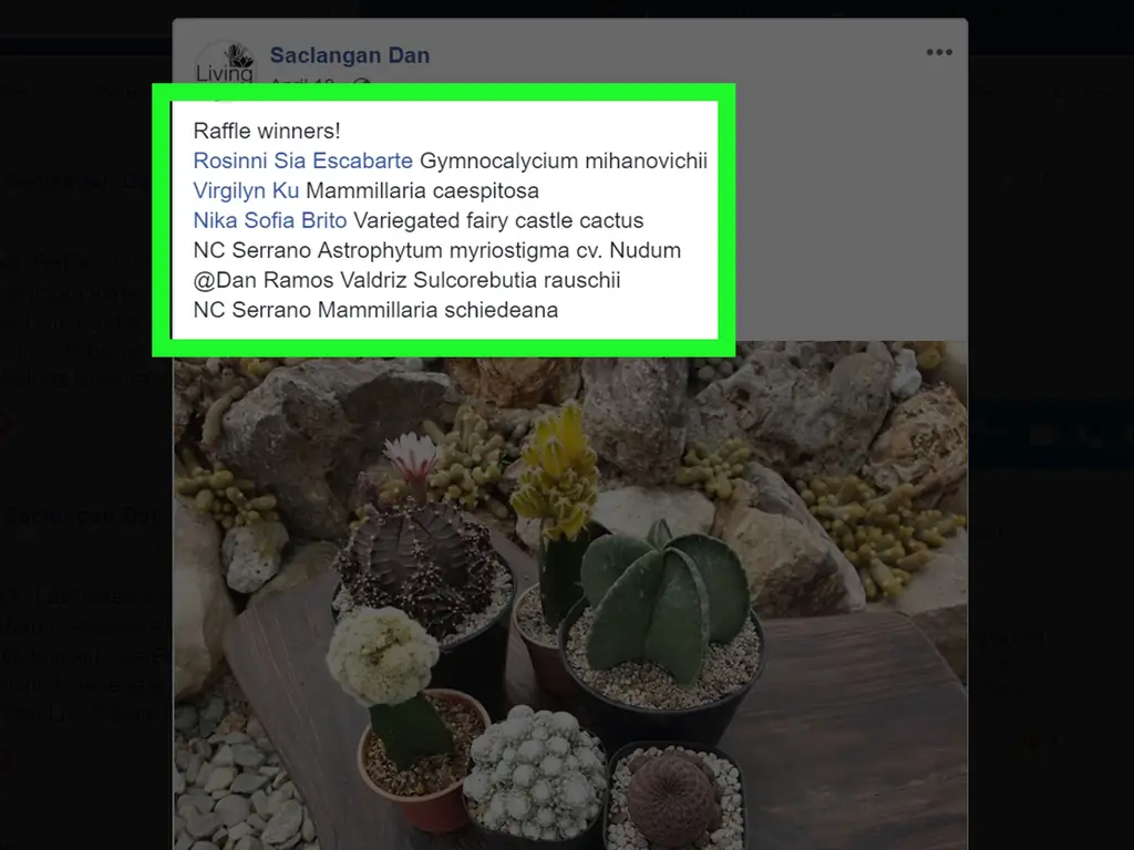 3 способа разыграть лотерею на Facebook