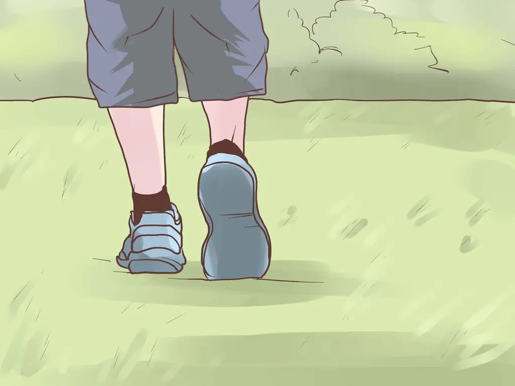 Как распознать рогатый, стриженный и задетый скот: 6 шагов