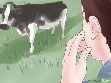 Купить крупный рогатый скот Step 5