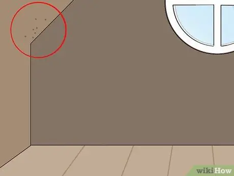 Выполните осмотр дома, шаг 4