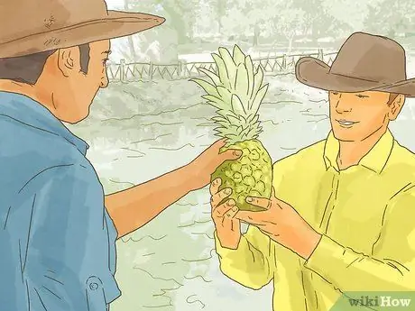 Инвестируйте в сельскохозяйственную недвижимость в Иллинойсе Шаг 13