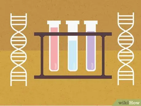 Законное дитя Шаг 7