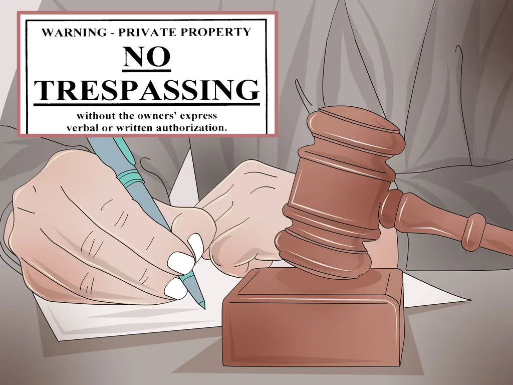 Как защитить права на материальную собственность: 12 шагов (с изображениями)