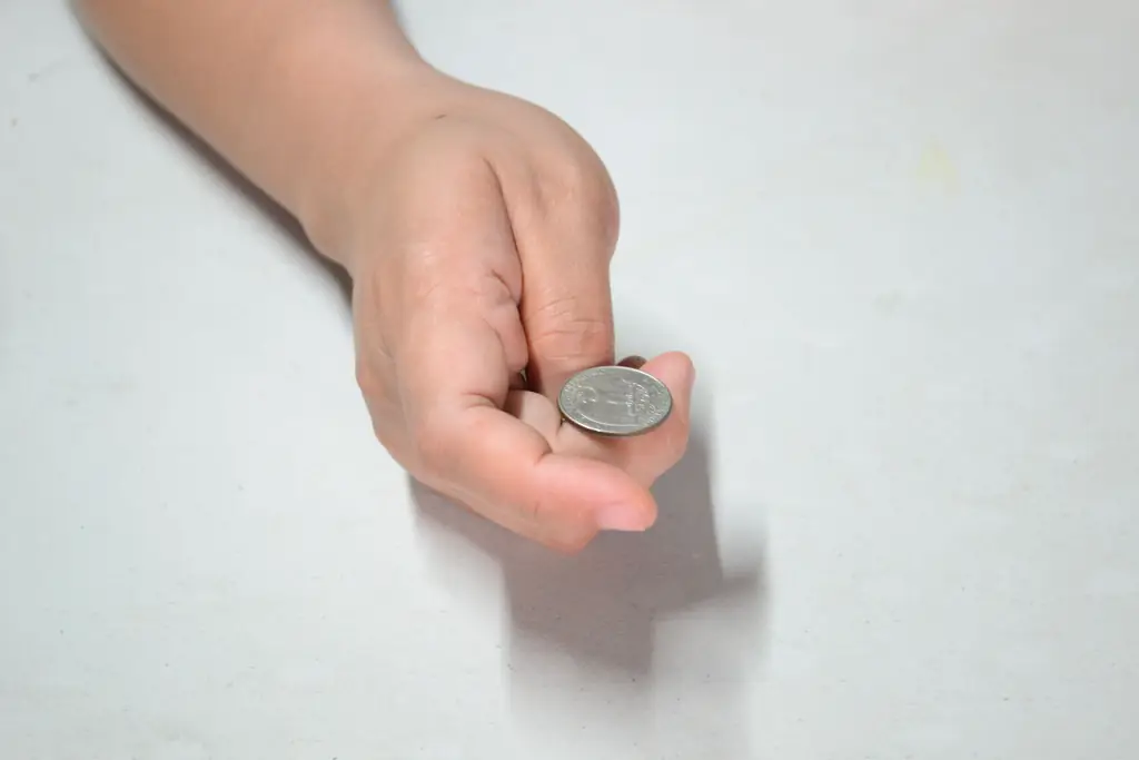 Как обнаружить поддельные торговые доллары: 8 шагов (с изображениями)