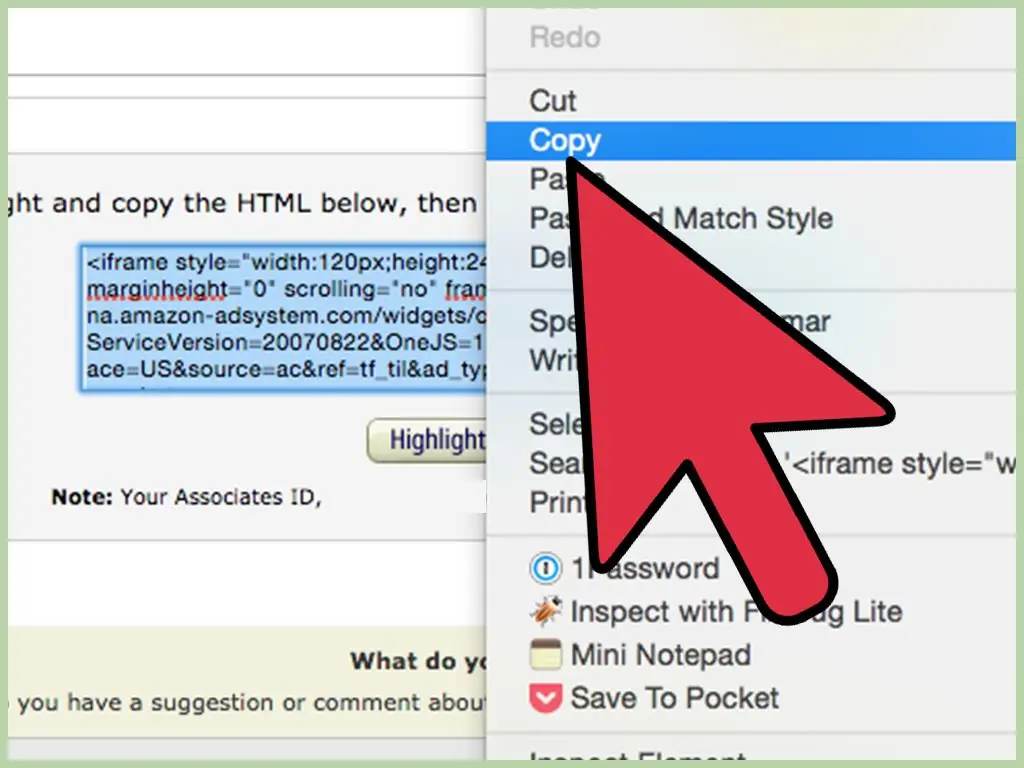 3 способа разместить рекламу Amazon в своем блоге