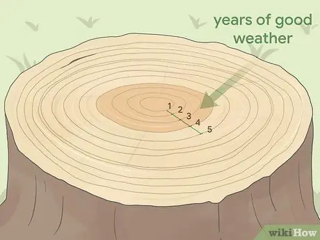 Подсчет колец дерева, шаг 4