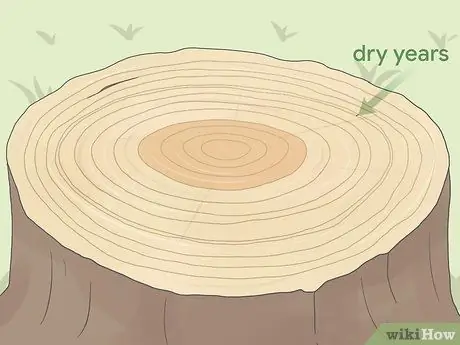 Счетчик колец дерева, шаг 5