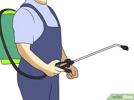 Станьте истребителем в Техасе Шаг 6