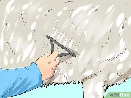 Приступите к делу «Выращивание овец», шаг 11