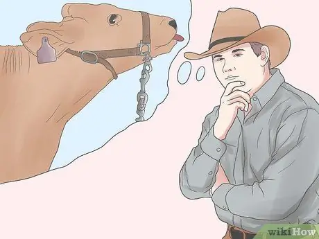 Лечить и предотвращать ацидоз у крупного рогатого скота Шаг 1