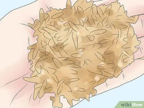 Лечить и предотвращать ацидоз крупного рогатого скота Шаг 6