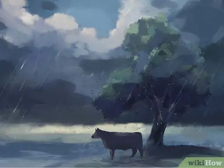 Лечить и предотвращать ацидоз крупного рогатого скота Шаг 9