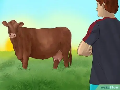 Судья Хейферс Шаг 13