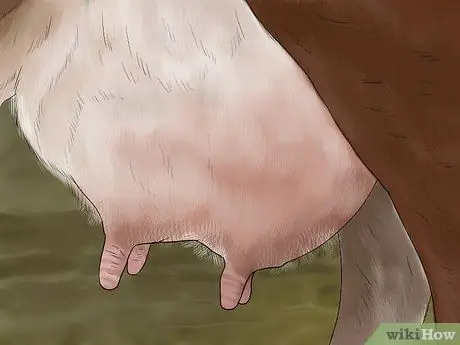 Судья Хейферс Шаг 15