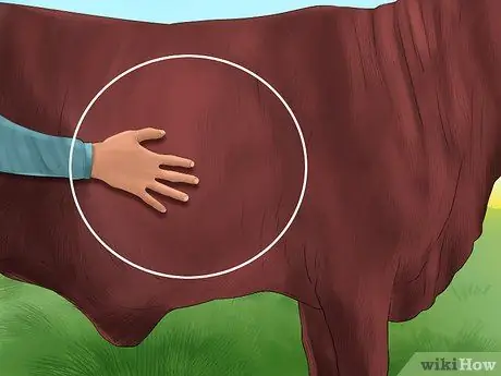 Судья Хейферс Шаг 8