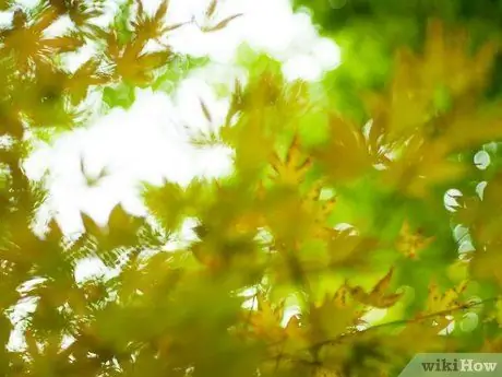 Используйте современную психологию, чтобы жить несчастной жизнью Шаг 2