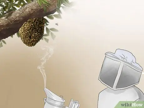 Стать пчеловодом Шаг 4