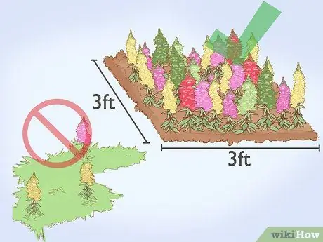 Кормление пчел сахарной водой Шаг 12