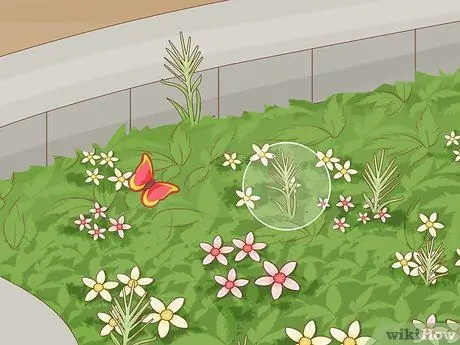 Кормление пчел сахарной водой Шаг 13