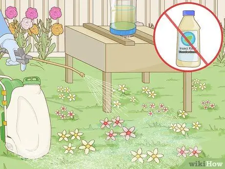 Кормите пчел сахарной водой, шаг 9