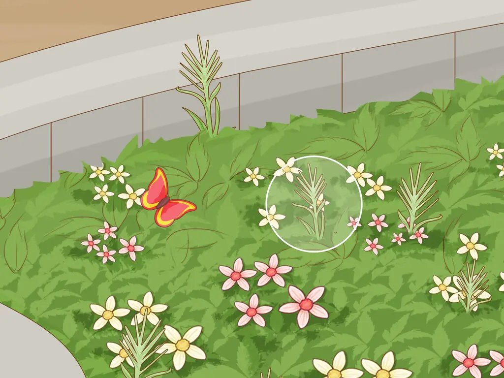 Как кормить пчел сахарной водой: 13 шагов (с иллюстрациями)