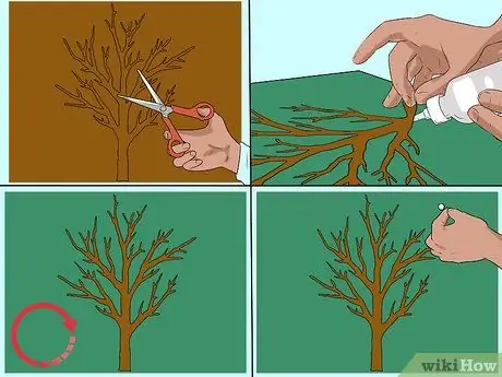 Сделать дерево Джесси Шаг 5