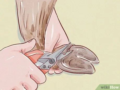 Уход за козой Шаг 13