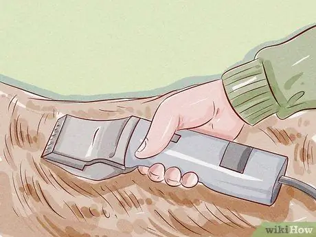 Уход за козой Шаг 14