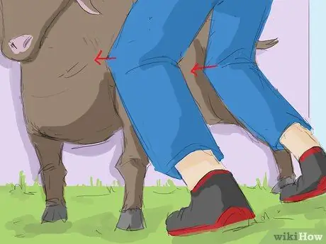 Поймать козу Шаг 4