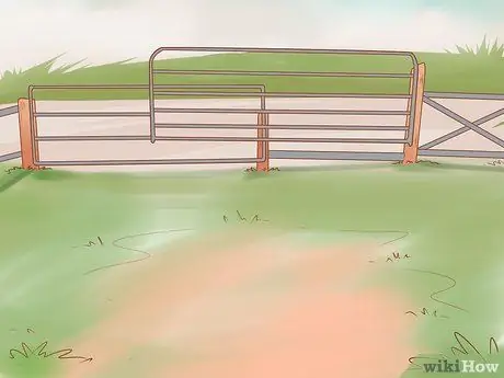 Уход за карликовыми козами Шаг 1