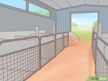 Уход за карликовыми козами Шаг 3