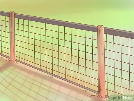 Уход за карликовыми козами Шаг 4