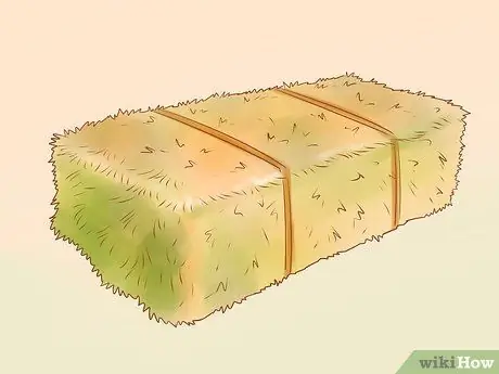 Уход за карликовыми козами Шаг 8