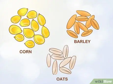 Уход за карликовыми козами Шаг 9