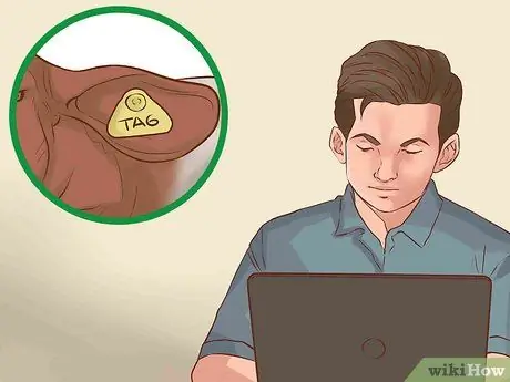 Определите породы коз, шаг 8