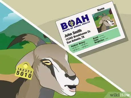 Покажите козу в 4Ч, шаге 12