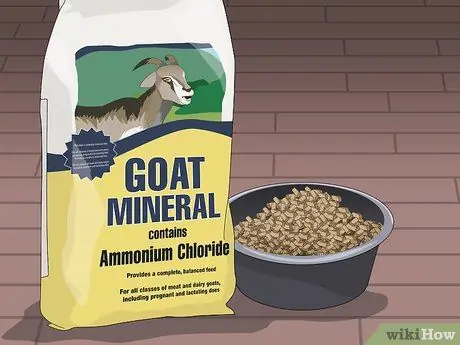 Покажите козу в 4H, шаге 3