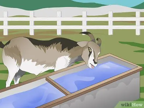 Покажите козу в 4-м шаге, шаге 4