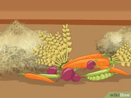 Покажите козу в 4H, шаге 5