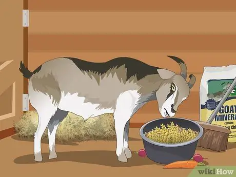 Покажите козу в 4-м шаге 6