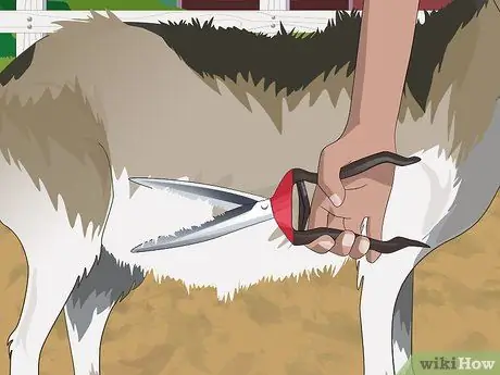 Покажите козу в 4-м шаге, шаге 7