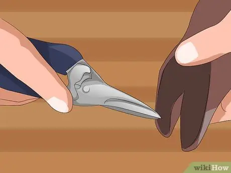 Покажите козу в 4H, шаге 8