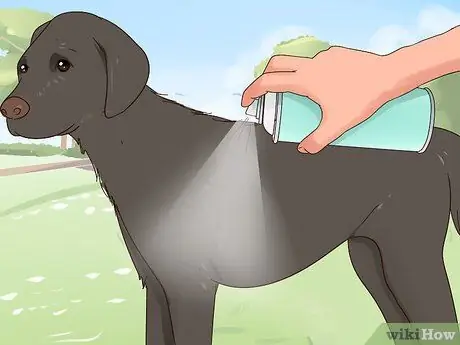 Лечить коз от клещей и блох Шаг 11