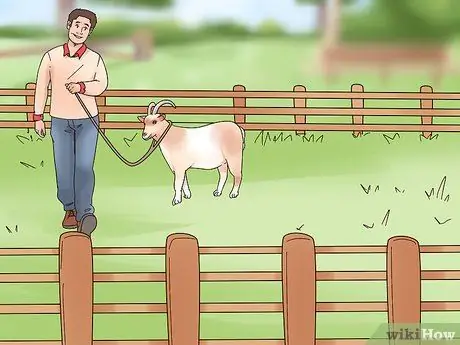 Лечить коз от клещей и блох Шаг 9