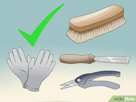 Обрезать козьи копыта, шаг 1