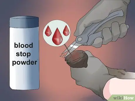 Обрезать козьи копыта Шаг 8