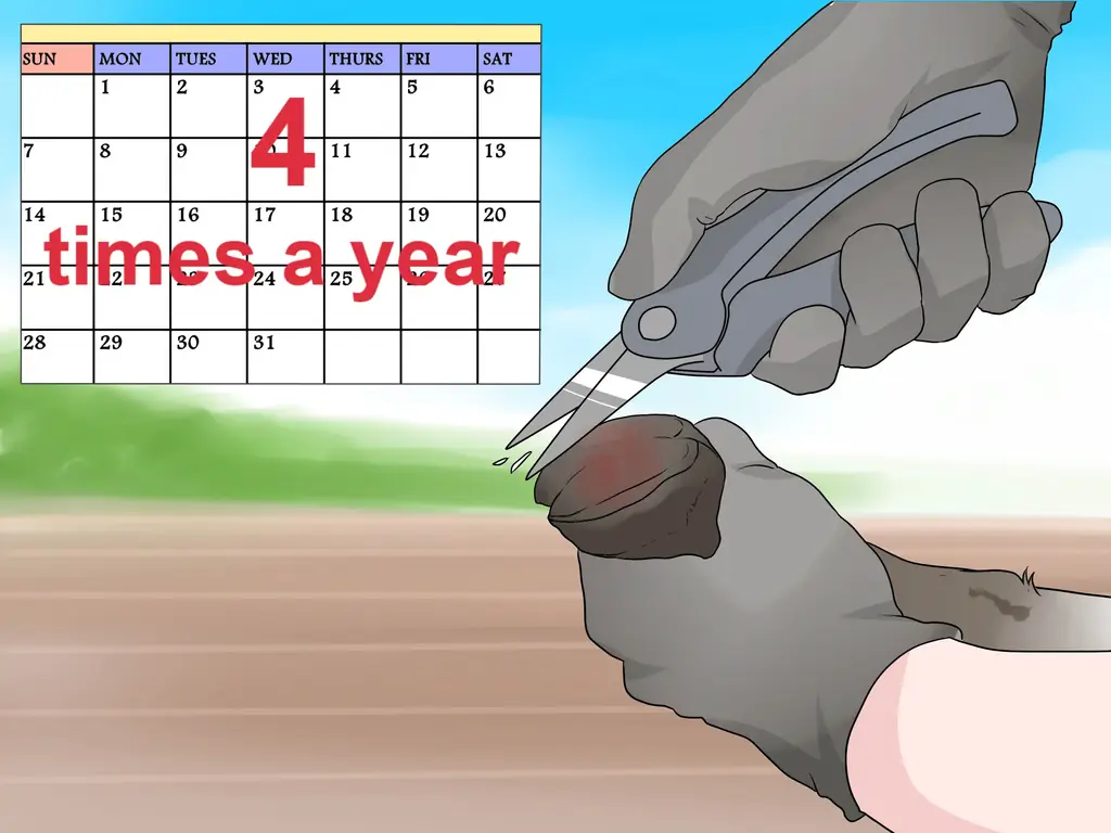 3 способа обрезать козьи копыта