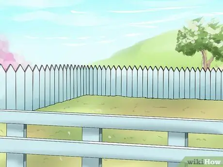 Увеличение веса свиньи Шаг 8