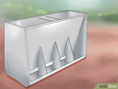 Увеличение веса свиньи Шаг 9