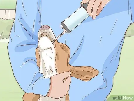 Облить козу Шаг 6